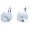 Ohrhänger Hook Silber plated . Crystal Moonlight