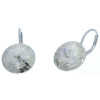 Ohrhänger Hook Silber plated . Crystal Silver Shade