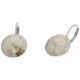 Ohrhänger Hook Silber plated . Crystal Golden Shadow . 14mm