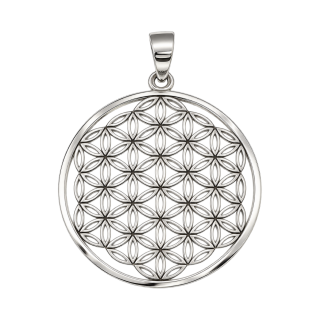 Anhänger Blume des Lebens . 925er Silber . leicht gewölbt