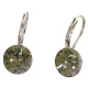 Ohrhänger Hook Silber plated . Crystal Black Diamond