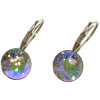 Ohrhänger Hook Silber plated . Crystal Paradise Shine