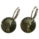Ohrhänger Hook Silber plated . Crystal Black Diamond