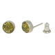 Ohrstecker Basics Silber plated . Crystal Khaki . 6mm