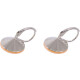 Ohrhänger Hook Silber plated . Crystal Peach Delite . 14mm