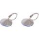 Ohrhänger Hook Silber plated . Crystal Ocean Delite . 14mm